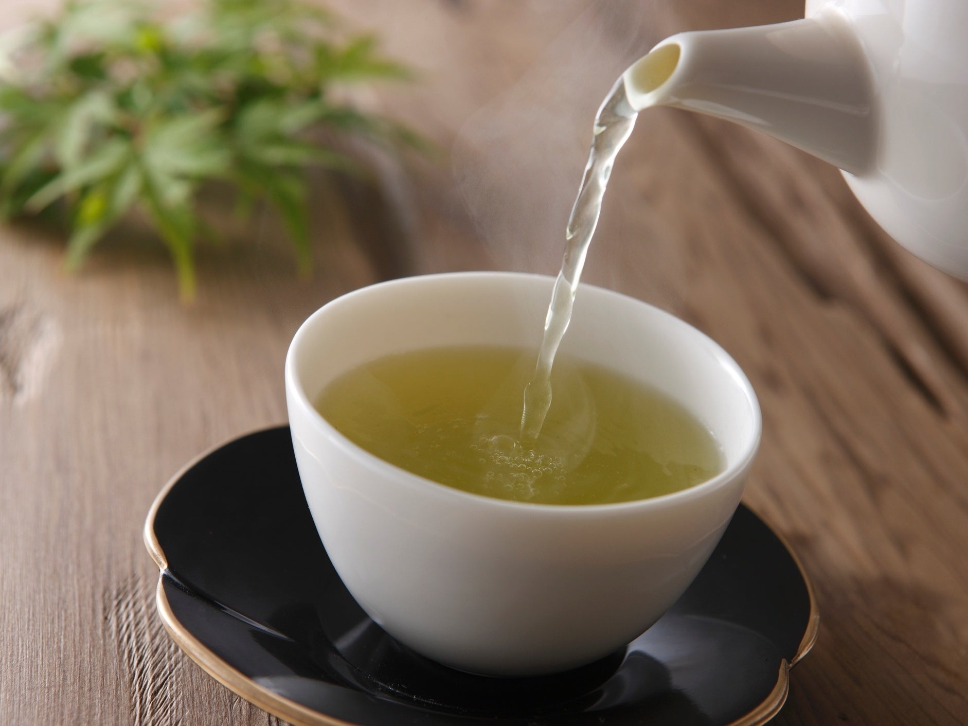 Chá Verde Barão (13g) - Barão Green Tea (13g)