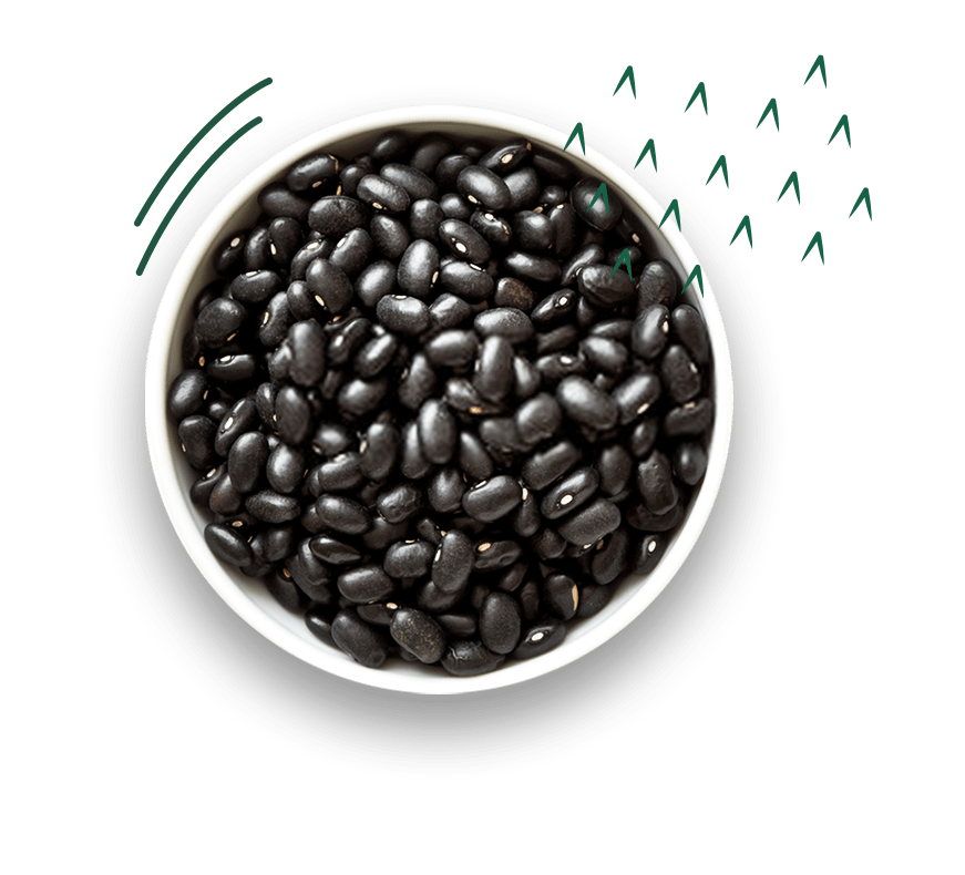 Feijão Preto Cozido no Vapor Vapza 500g -  Black Beans Cooked in Steam Vapza 500g